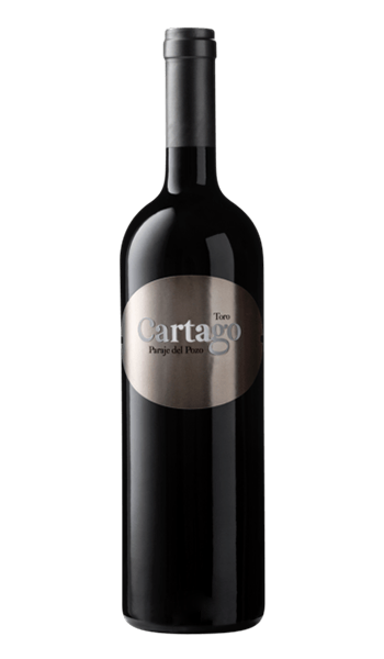 2018 Bodegas San Roman Cartago Paraje del Pozo 750ml