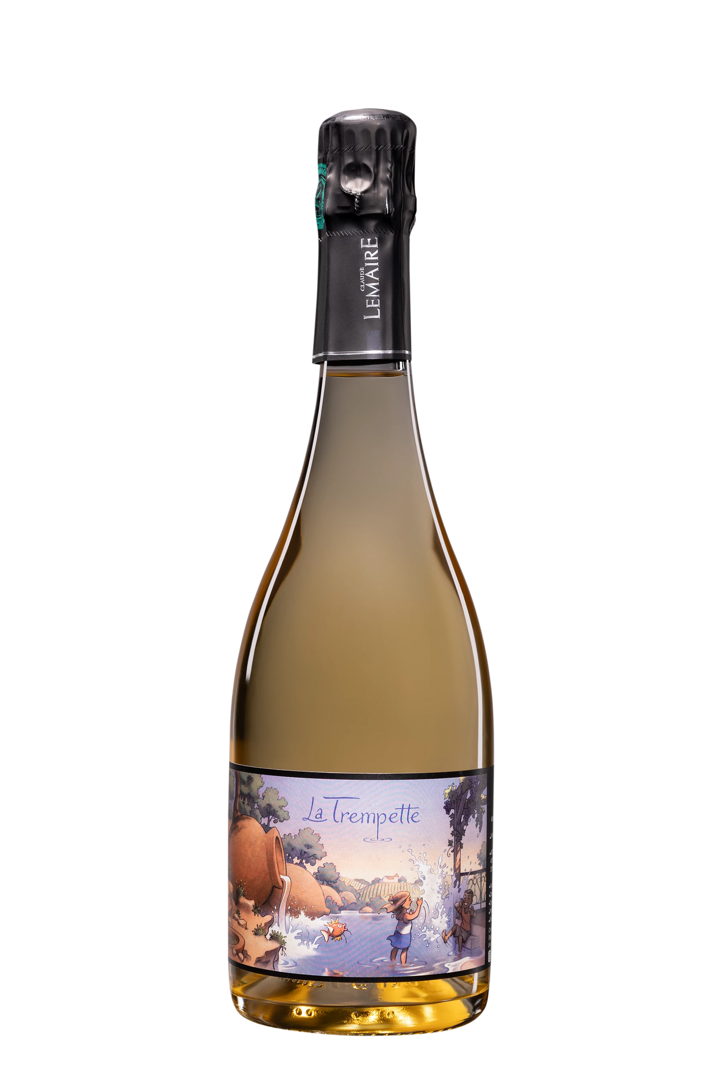 2019 Lemaire 'La Trempette' Brut Nature 750ml