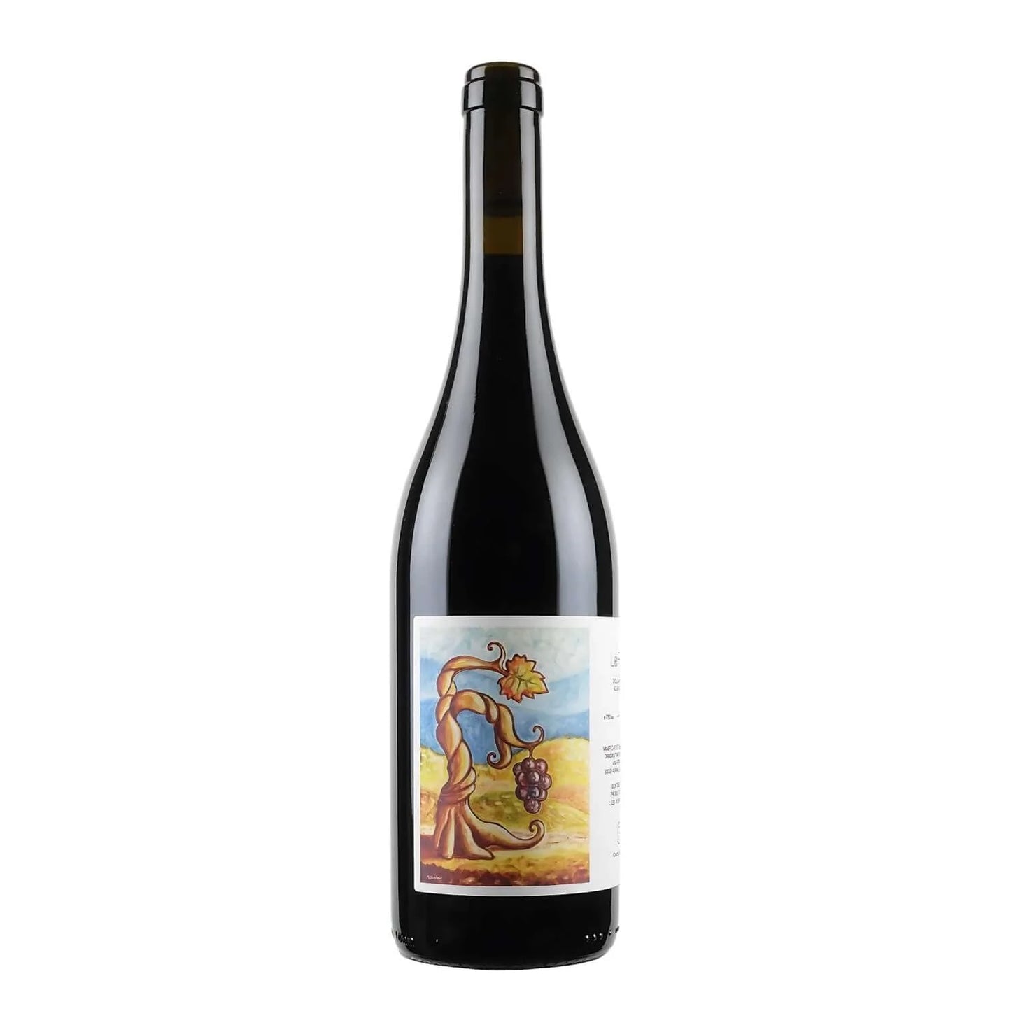 2020 Cantina Giardino Le Fole Aglianico d'Irpinia 750ml