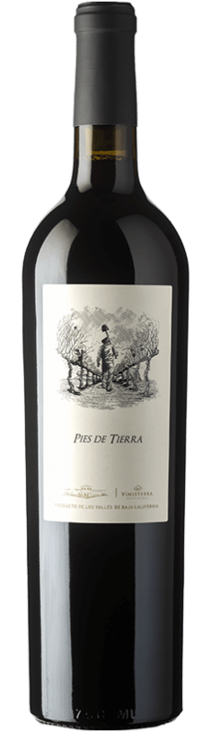 2020 Vinisterra Pies de Tierra 750ml