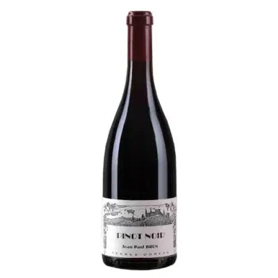 2022 Jean-Paul Brun Domaine des Terres Dorees Bourgogne Pinot Noir 750ml