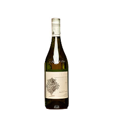 2023 Elvio Tintero Langhe Arneis 750ml