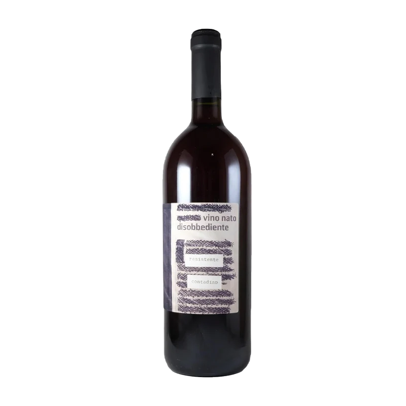 2023 Monte dall'Ora Vino Nato Disobbediente Resistente Contadino 1Lt