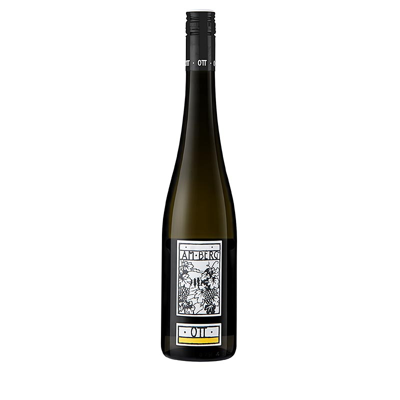 2023 Weingut Bernhard Ott Am Berg Gruner Veltliner 750ml