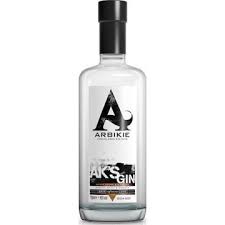 Arbikie AK's Gin 750ml