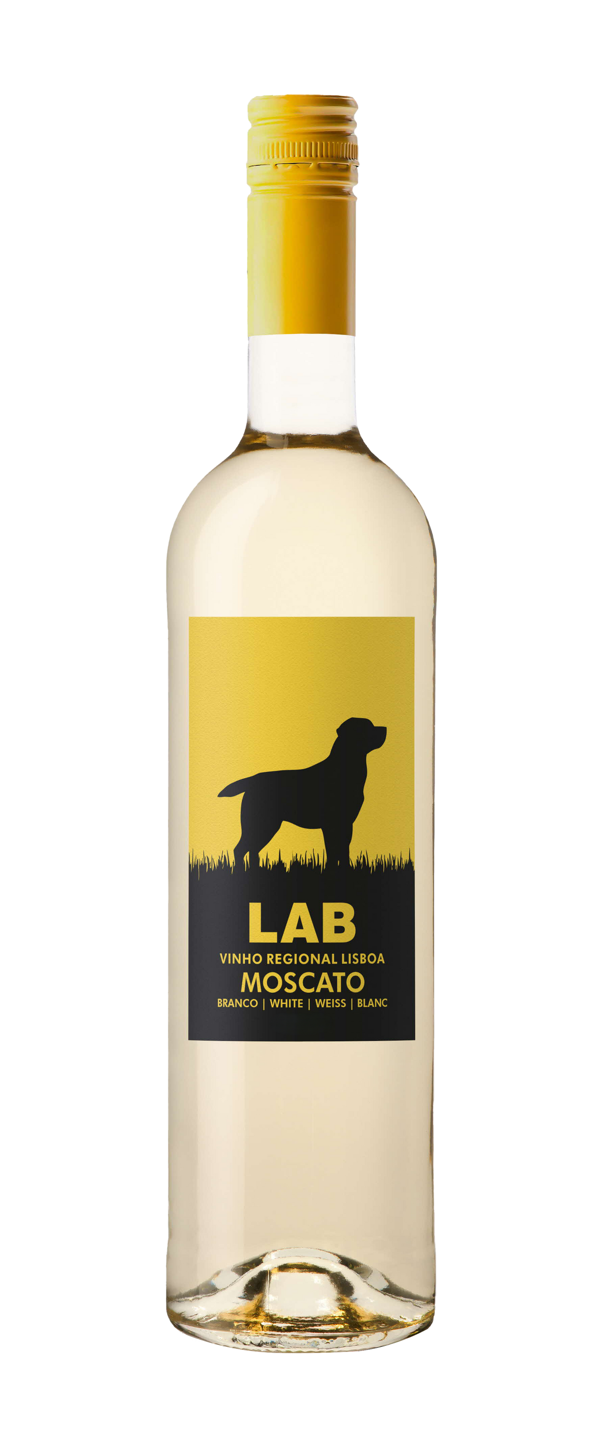 Casa Santos Lima Lab Moscato 750ml