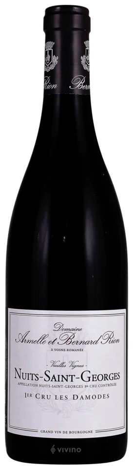 Domaine Armelle et Bernard Rion Nuits-Saint-Georges 1er Cru les Damodes 750ml