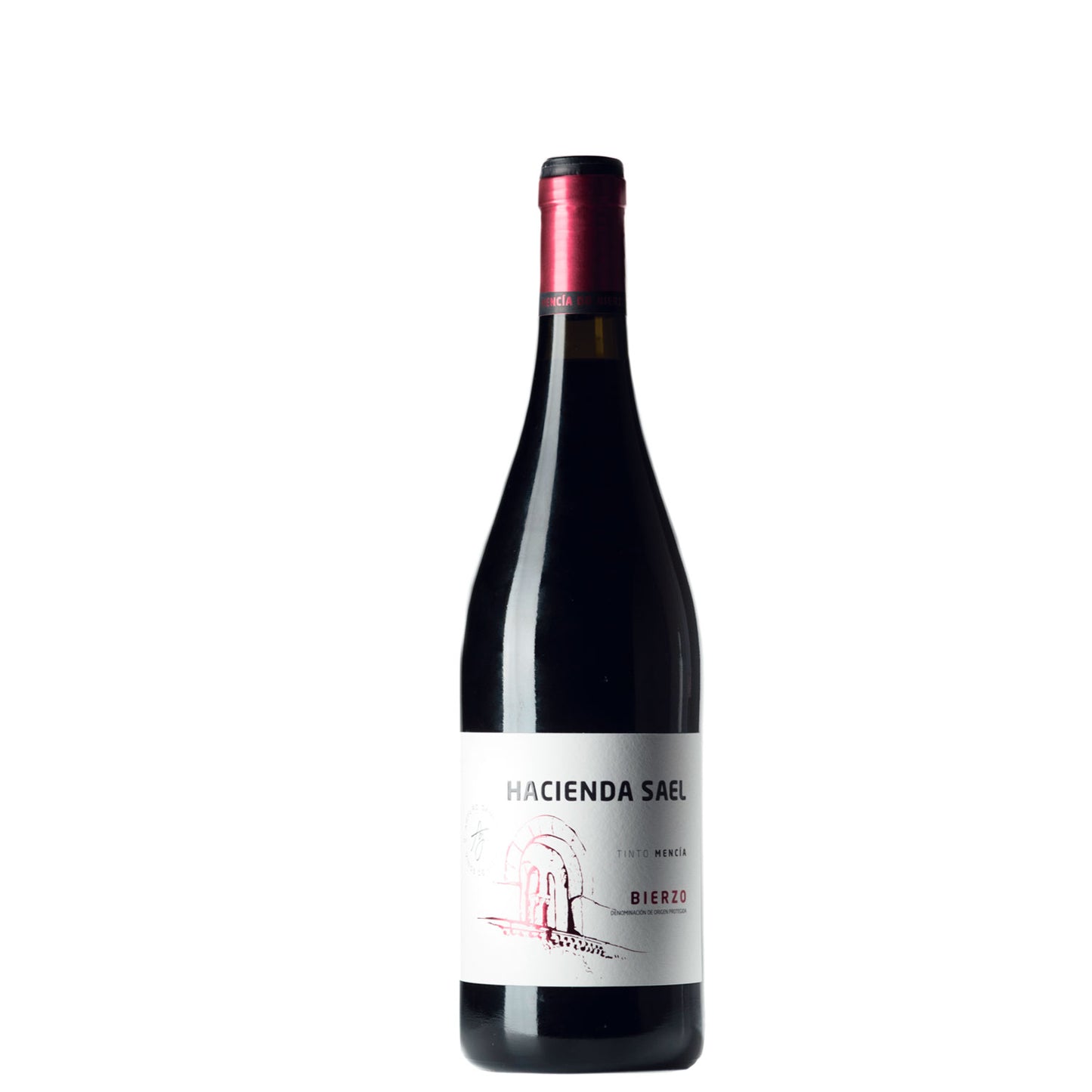 Vinedos y Bodega Arturo Garcia Hacienda Sael Mencia 750ml