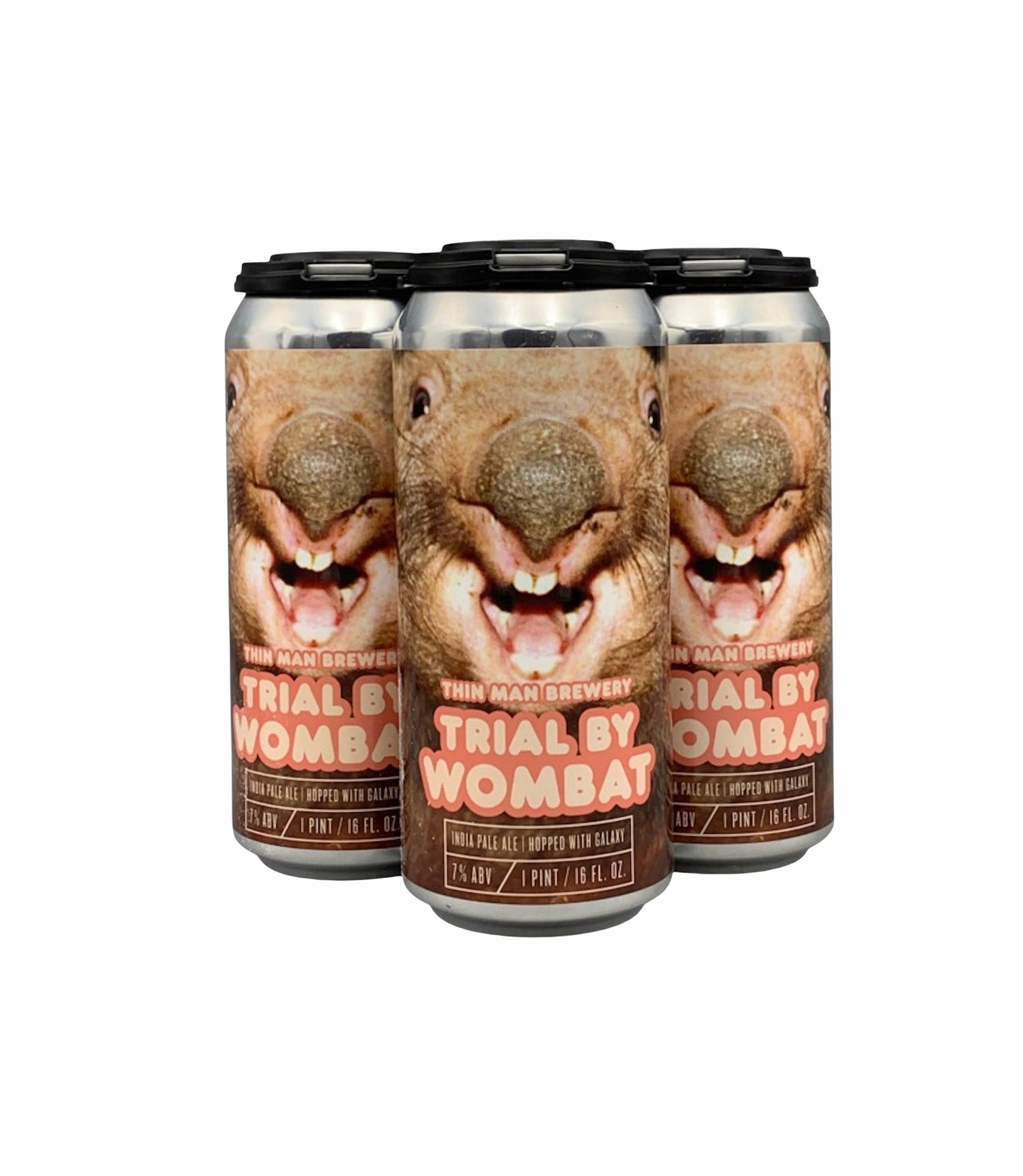 THIN MAN BREWERY TRIAL BY WOMBAT 4 PACK CANS