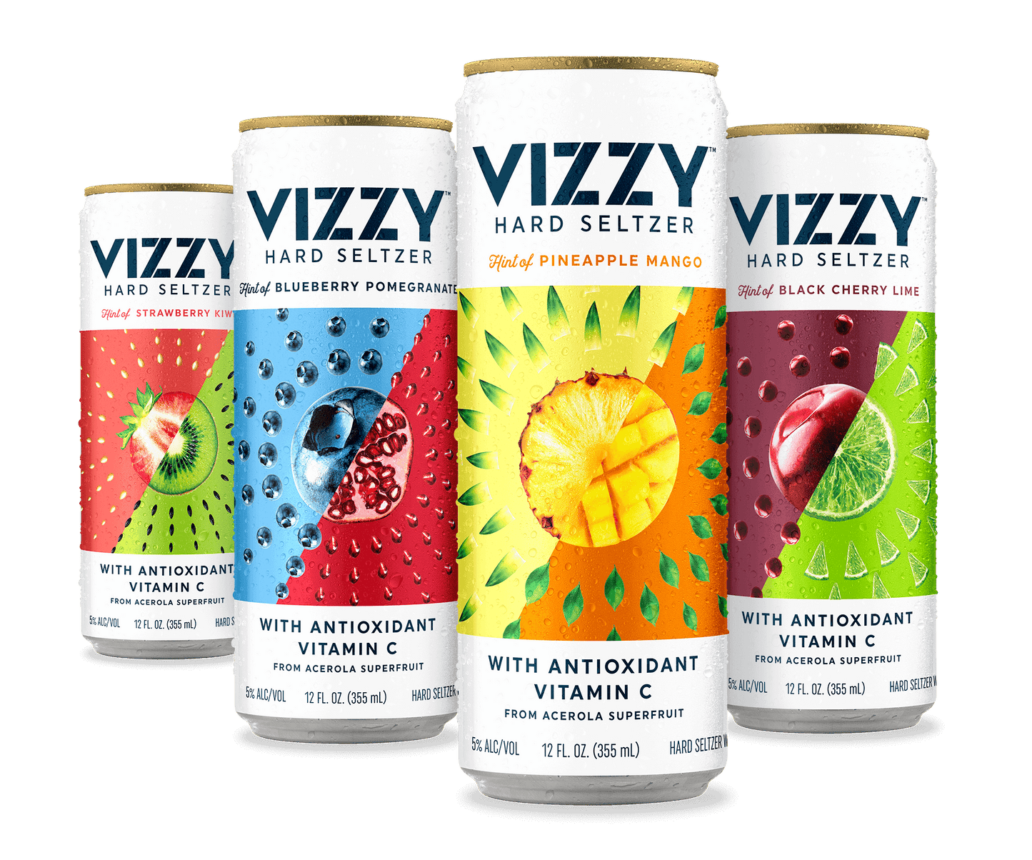 VIZZY HARD SELTZER 12 PACK