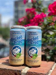 Rocket Frog Brewing Kai Gose To Oregon Gose Sour Beer 4-Pack
