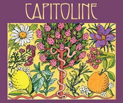 CAPITOLINE WHITE 750 ML