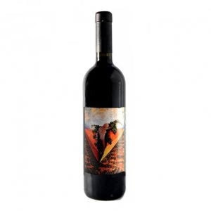 2013 Cantina Giardino Nude Aglianico d'Irpinia 750ml