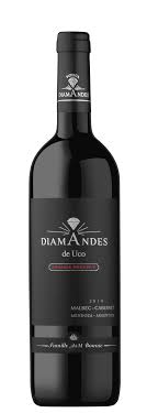 2019 DiamAndes Diamandes de Uco Gran Reserva 750ml