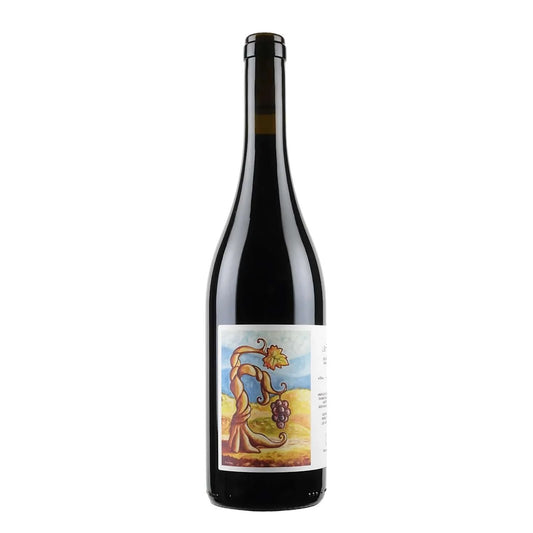 2020 Cantina Giardino Le Fole Aglianico d'Irpinia 750ml