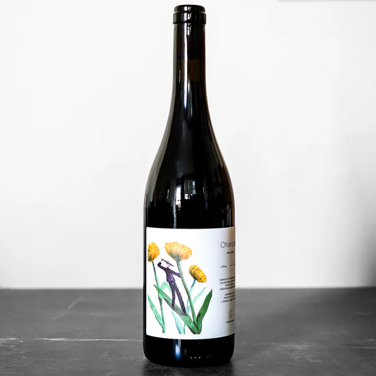 2020 Cantina Giardino Vino Rosso Chianzano 750ml