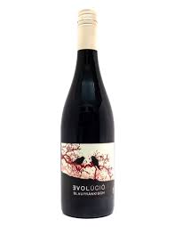 2021 Evolucio - Evolucion Blaufrankisch 750ml