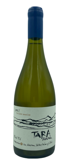 2021 Ventisquero Tara Atacama White Wine 1 Chardonnay 750ml
