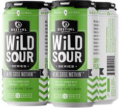 Destihl Wild Sour Series Here GOSE Nothin Leipzig Style Gose Ale Beer 12-Oz Can 4-Pack