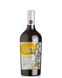 Elios Modus Bibendi Bianco Macerato non Filtrato Terre Siciliane IGT 750ml