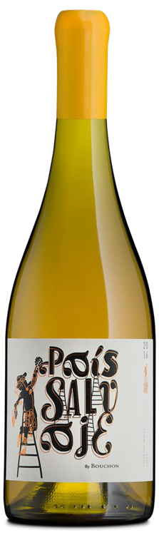 J. Bouchon Pais Salvaje 750ml