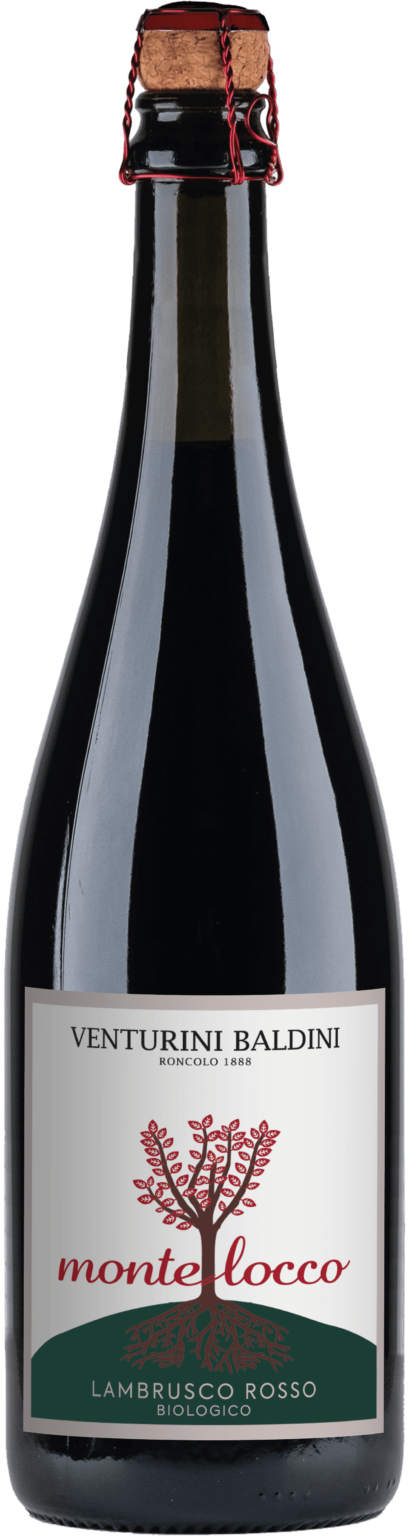 Venturini Baldini Montelocco Lambrusco 750ml