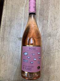 The Little Sheep of France Rose