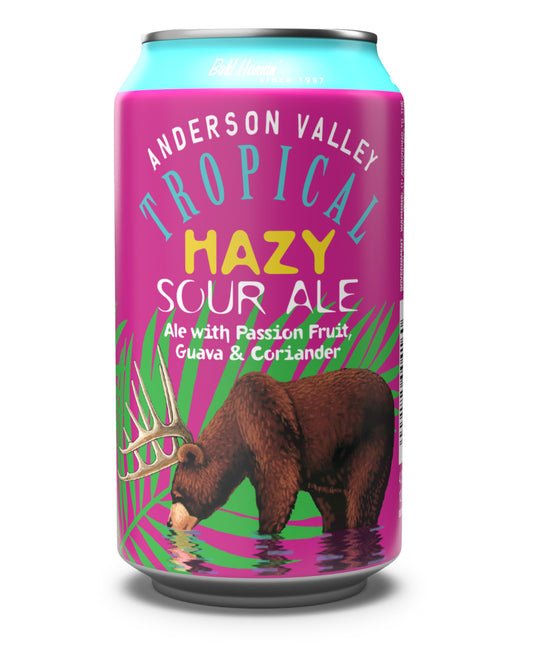ANDERSON VALLEY TROPICAL HAZY SOUR ALE 6 PACK CANS