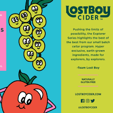 LOST BOY CIDER GRAPE EXPECTATION 4 pack c