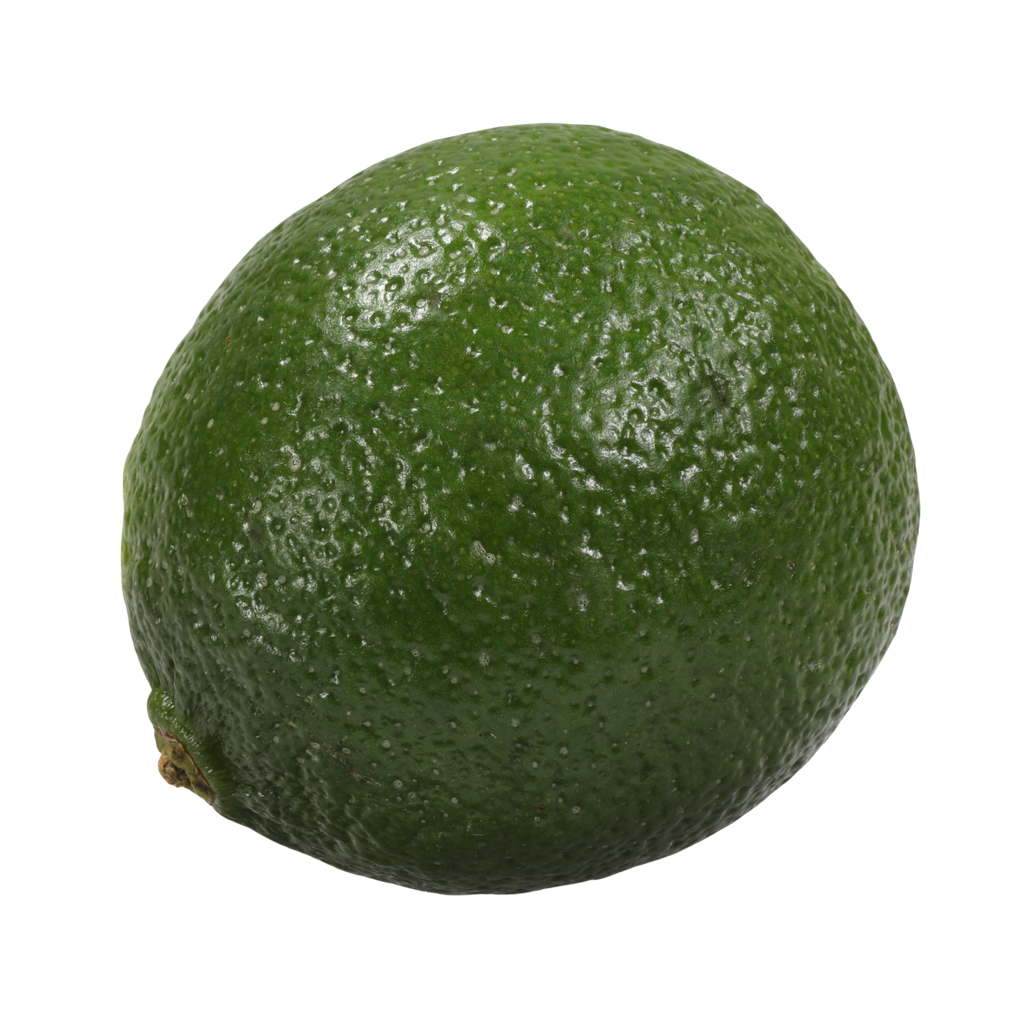 Lime Regular